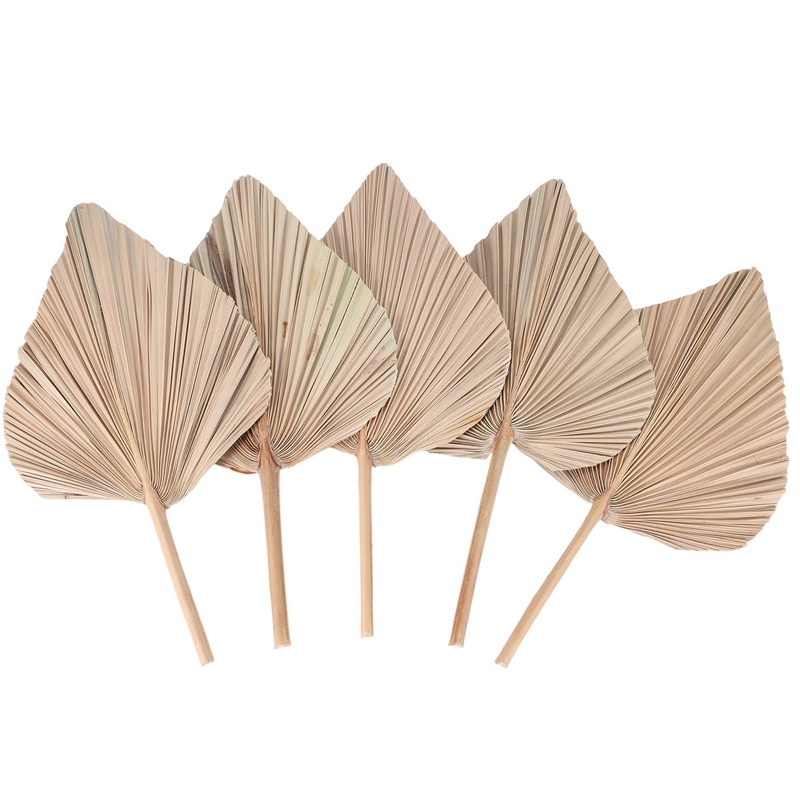 Palm Leaf Dried - 5 Pieces Natural Dried Palm Leaves
