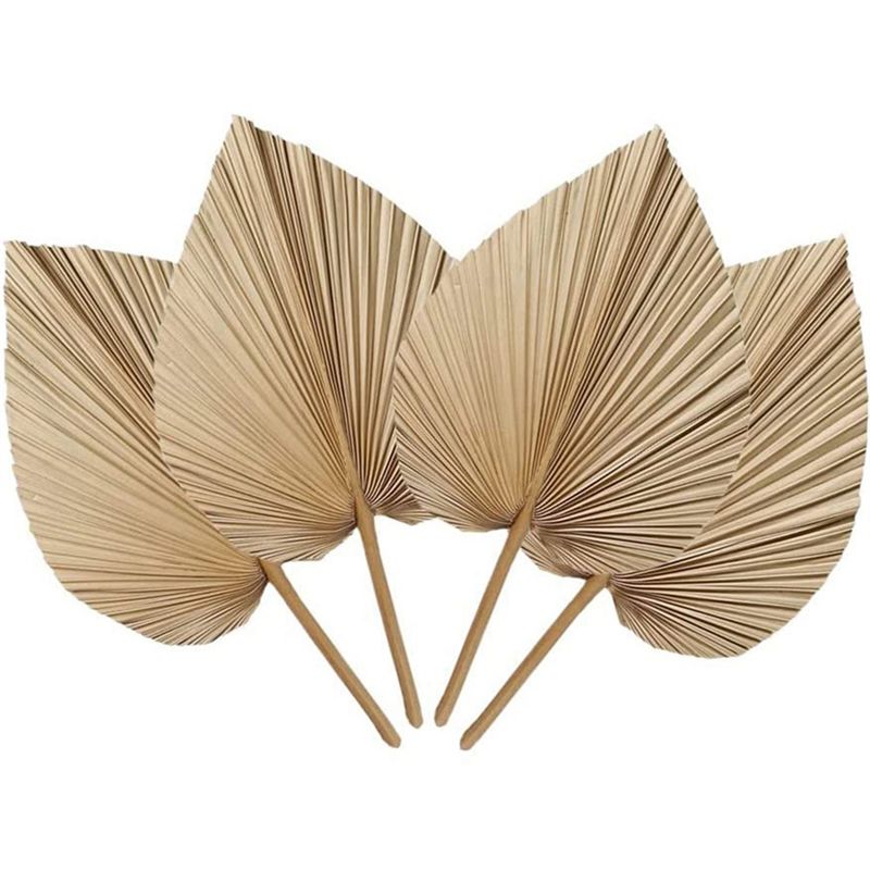 Palm Leaf Dried - Fresh 4 Pieces Natural Dried Palm