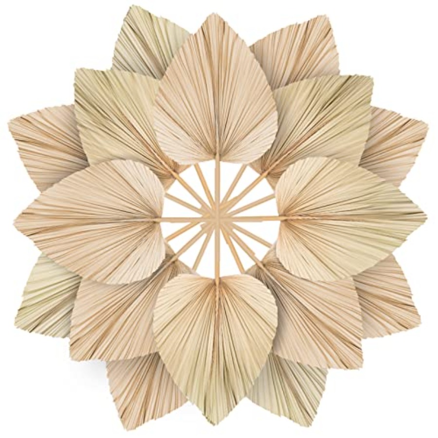 10 Large Bulk Boho Dried Palm  - огляд і ціна Palm Leaf Dried