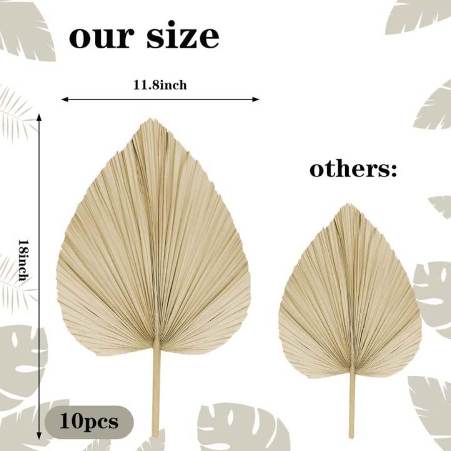 10 Large Bulk Boho Dried Palm  - огляд і ціна Palm Leaf Dried