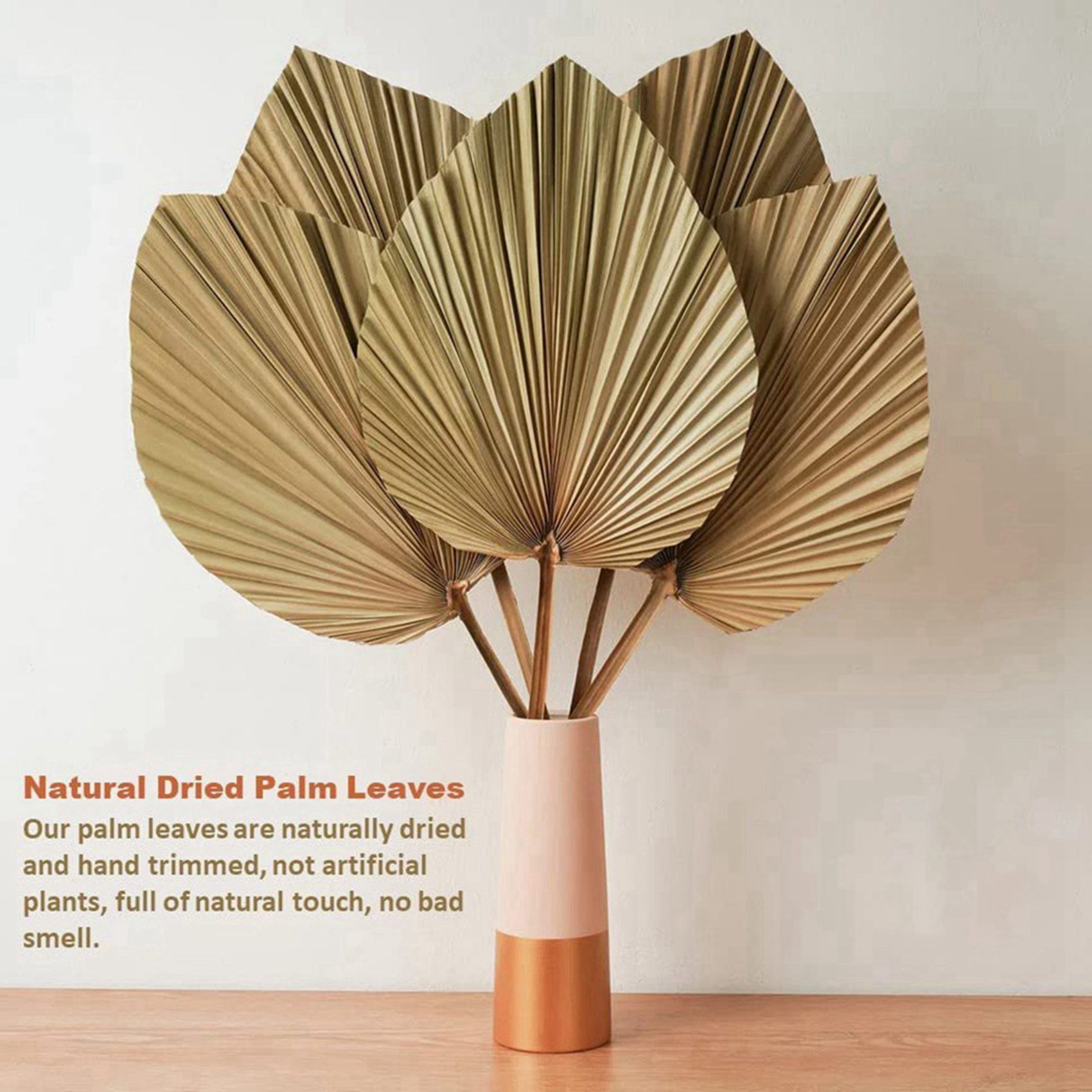 8 Pieces Natural Dried Palm Le - огляд і ціна Palm Leaf Dried