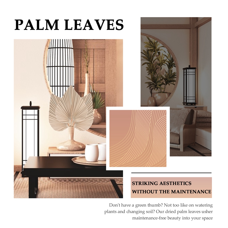 5 Pieces Natural Dried Palm Le - огляд і ціна Palm Leaf Dried