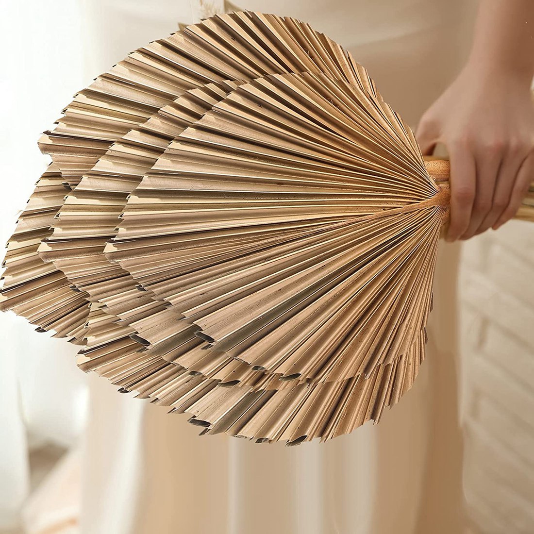 5Pcs Natural Dried Palm Leaves - огляд і ціна Palm Leaf Dried