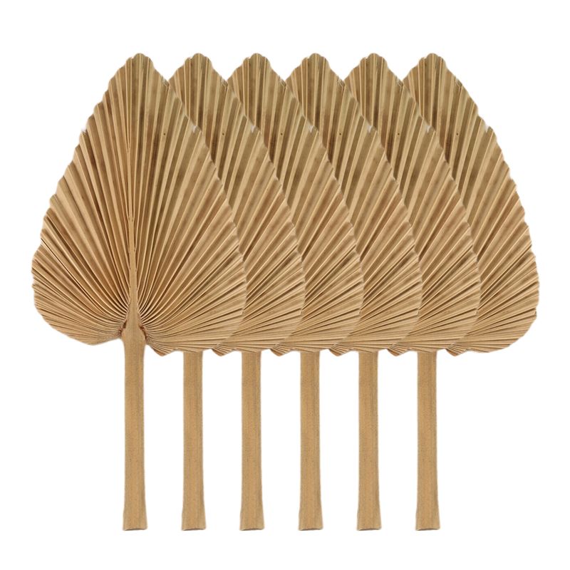 AT84-6PCS Dried Palm Leaves Na - огляд і ціна Palm Leaf Dried