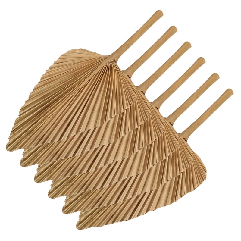 AT84-6PCS Dried Palm Leaves Na - огляд і ціна Palm Leaf Dried