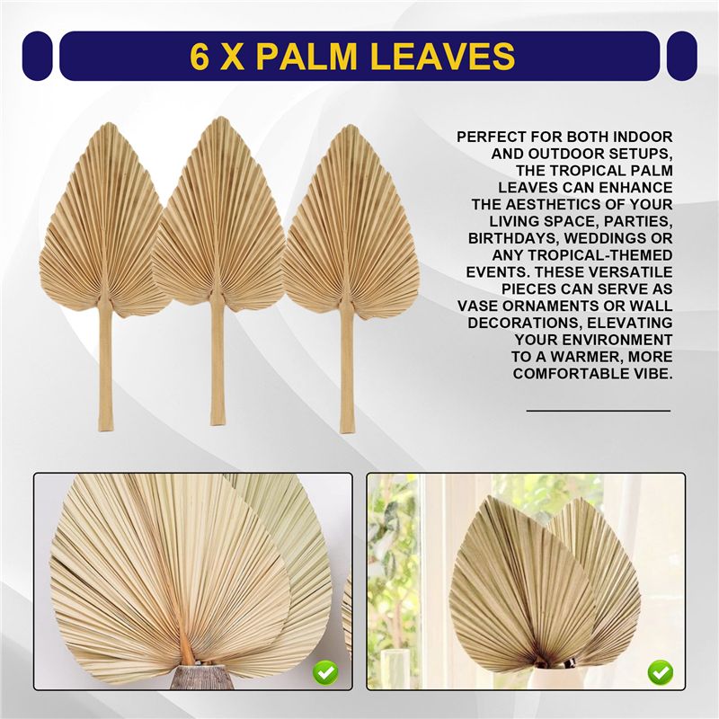 AT84-6PCS Dried Palm Leaves Na - огляд і ціна Palm Leaf Dried