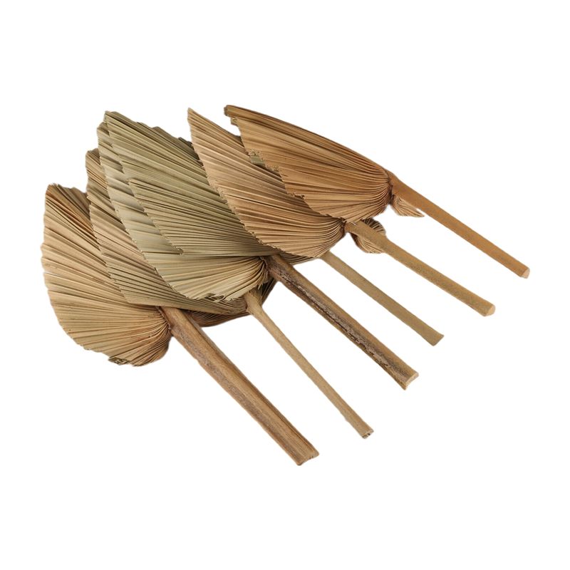 AT84-6PCS Dried Palm Leaves Na - огляд і ціна Palm Leaf Dried