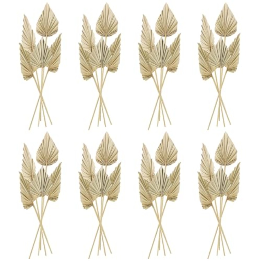 Cenkaiyang 40 Pcs Boho Dried P - огляд і ціна Palm Leaf Dried