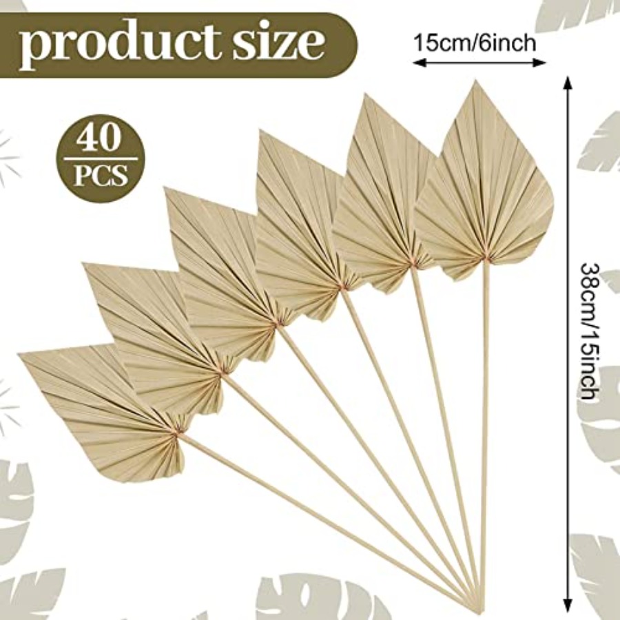 Cenkaiyang 40 Pcs Boho Dried P - огляд і ціна Palm Leaf Dried