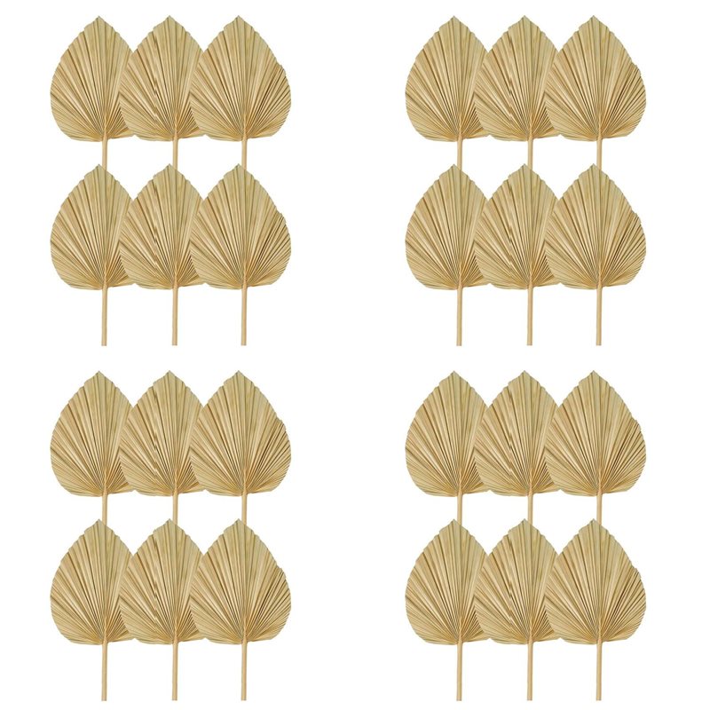 【CHRISTMAS 】24PCS Dried Palm L - огляд і ціна Palm Leaf Dried
