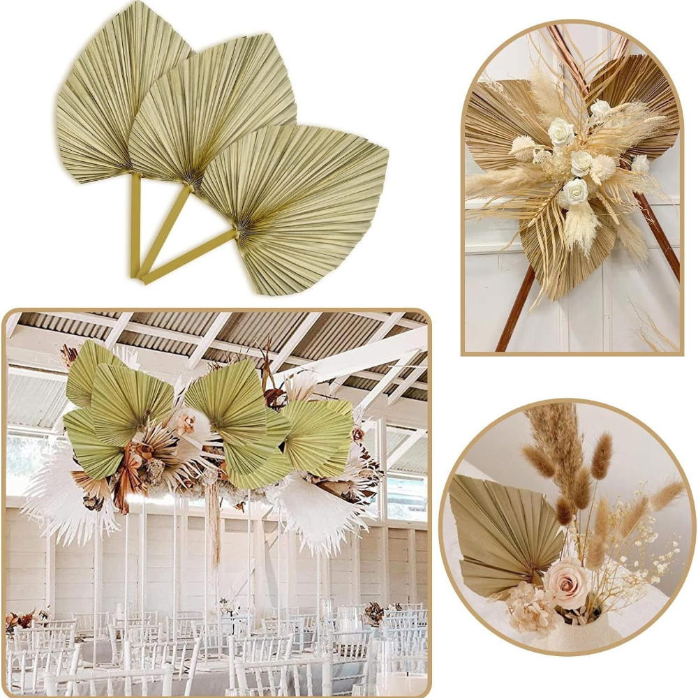 3 PCS Natural Dried Palm Leave - огляд і ціна Palm Leaf Dried