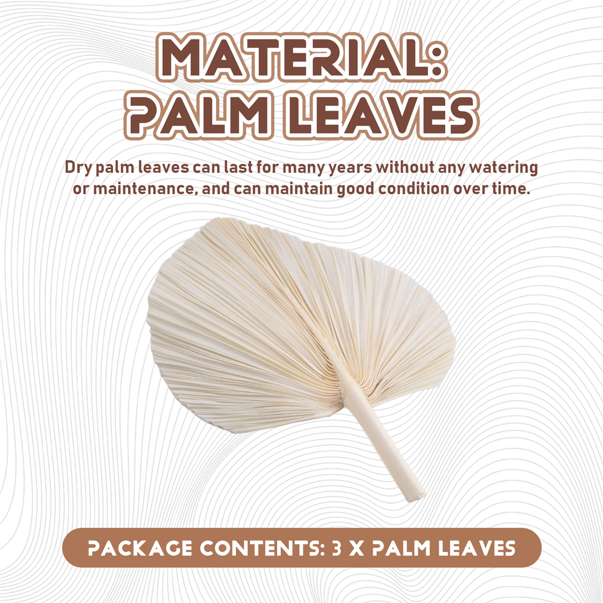 Qualitative Large White Dried  - огляд і ціна Palm Leaf Dried