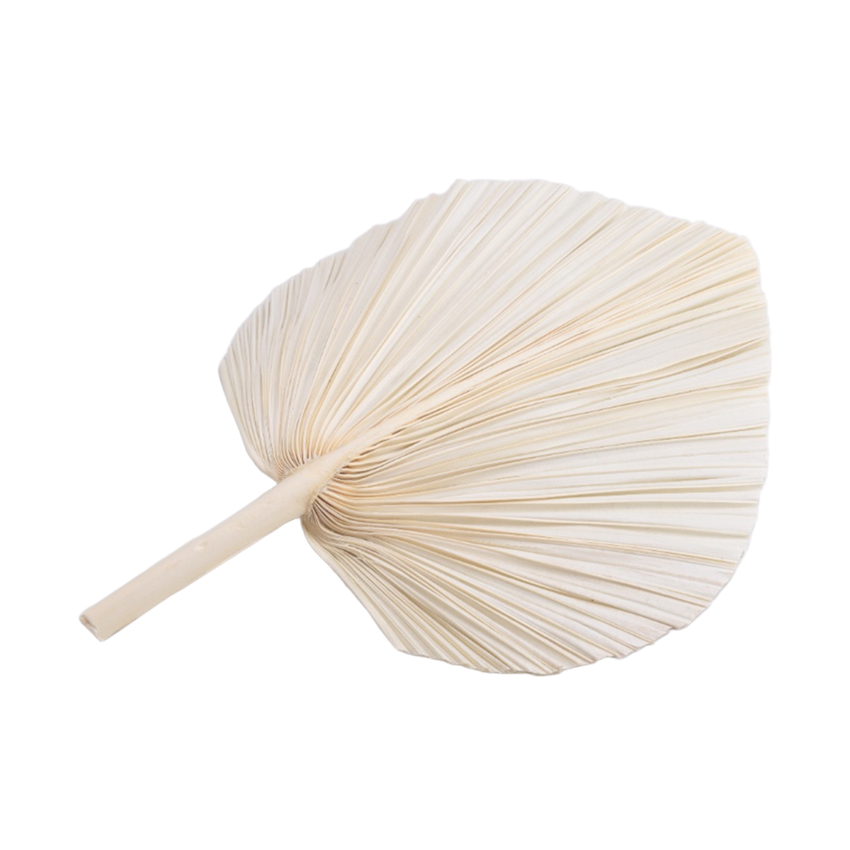 Qualitative Large White Dried  - огляд і ціна Palm Leaf Dried