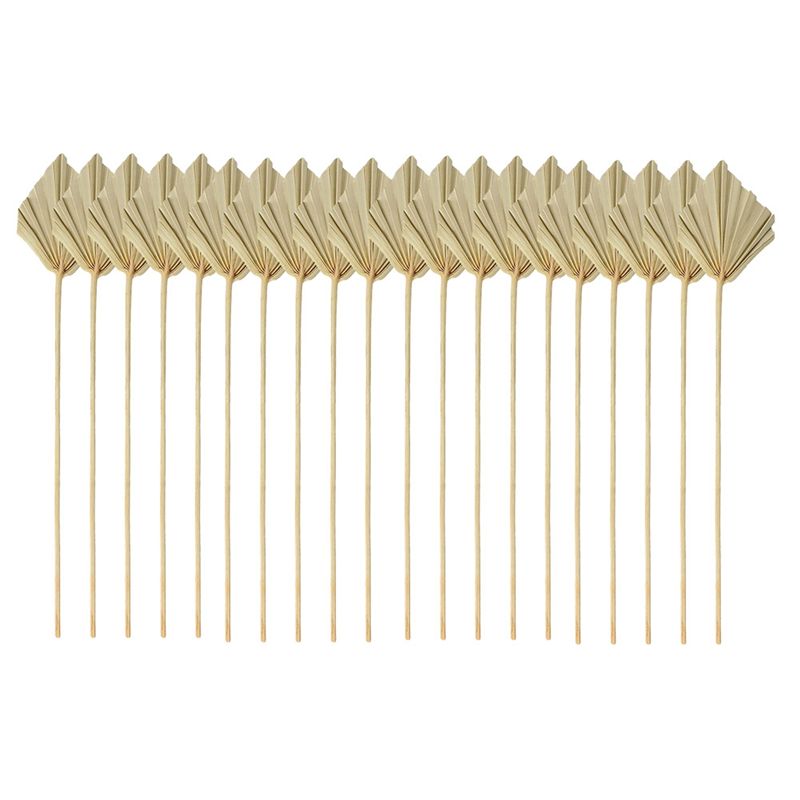 ABYN-Boho Dried Palm Spears Sm - огляд і ціна Palm Leaf Dried