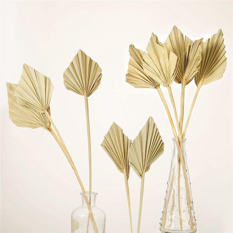 ABYN-Boho Dried Palm Spears Sm - огляд і ціна Palm Leaf Dried