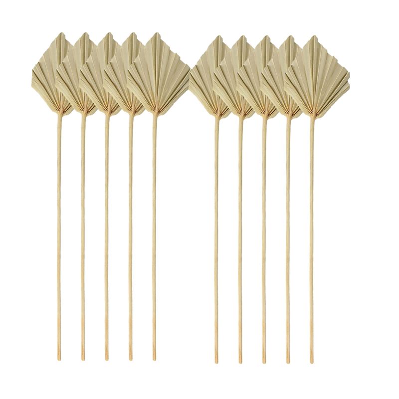 TFORU-Boho Dried Palm Spears S - огляд і ціна Palm Leaf Dried