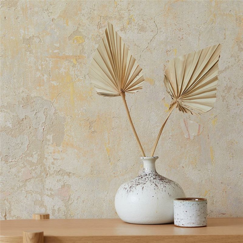 TFORU-Boho Dried Palm Spears S - огляд і ціна Palm Leaf Dried