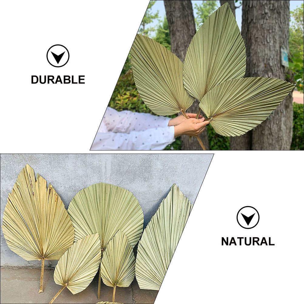 1Pcs Natural Dried Palm Leaf D - огляд і ціна Palm Leaf Dried