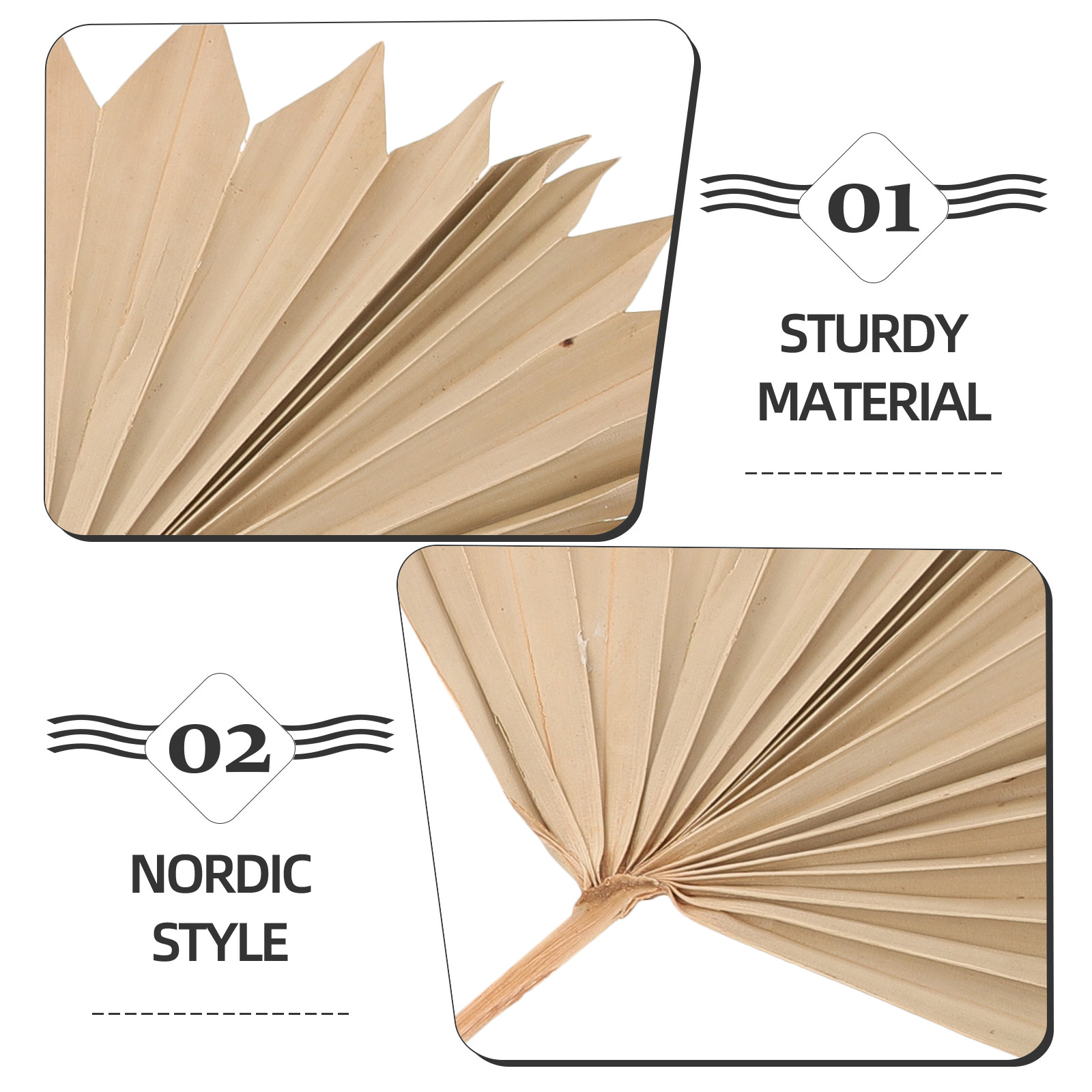 4Pcs Dried Palm Leaf Decoratio - огляд і ціна Palm Leaf Dried