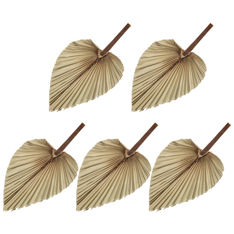 SEWS-5Pcs Natural Dried Palm L - огляд і ціна Palm Leaf Dried