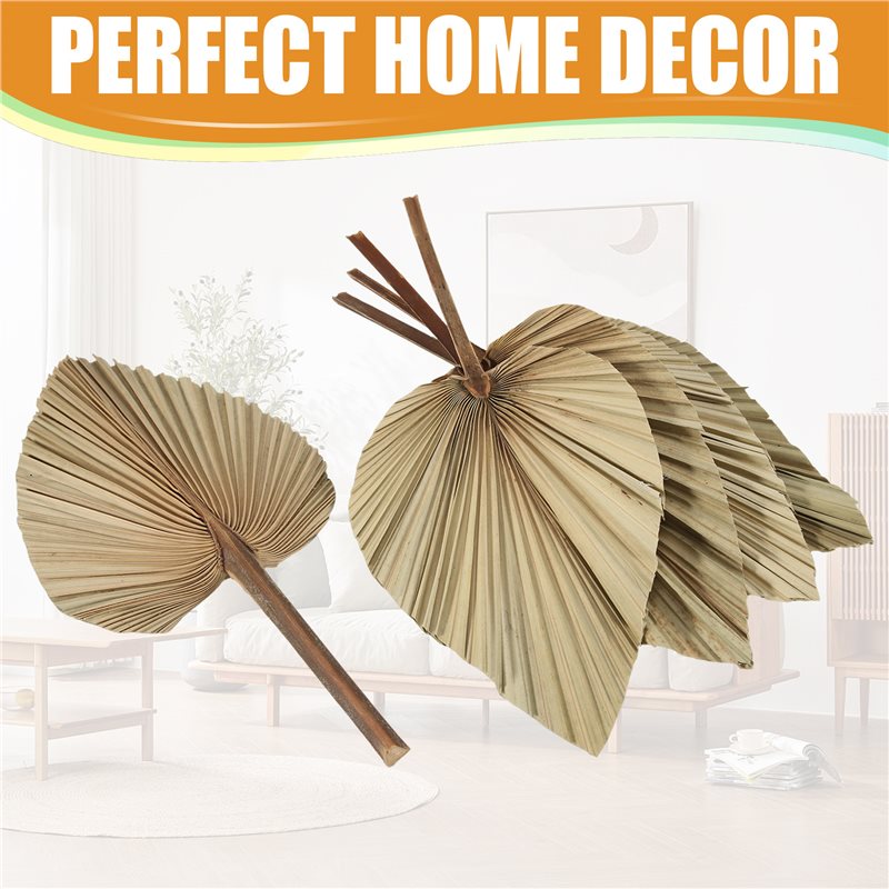 SEWS-5Pcs Natural Dried Palm L - огляд і ціна Palm Leaf Dried
