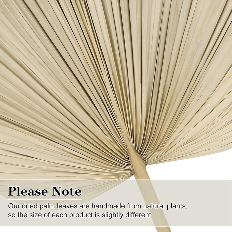 New 6PCS Dried Palm Leaves Nat - огляд і ціна Palm Leaf Dried