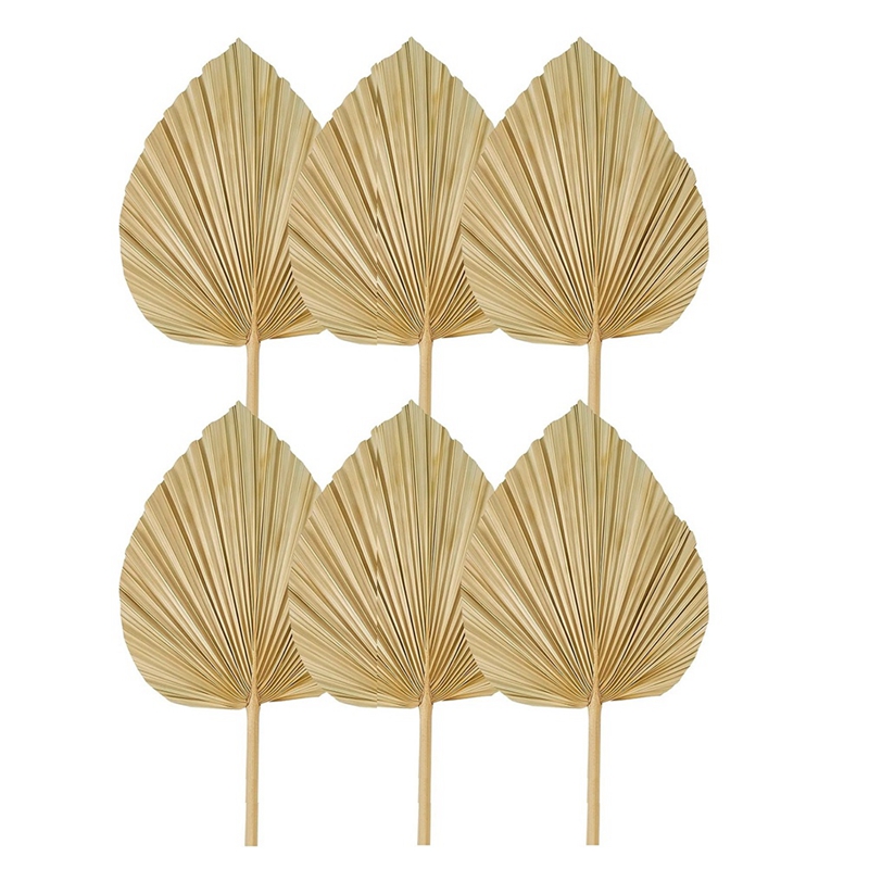 New 6PCS Dried Palm Leaves Nat - огляд і ціна Palm Leaf Dried