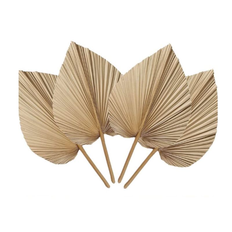 A27F-6Pcs Natural Tropical Dri - огляд і ціна Palm Leaf Dried
