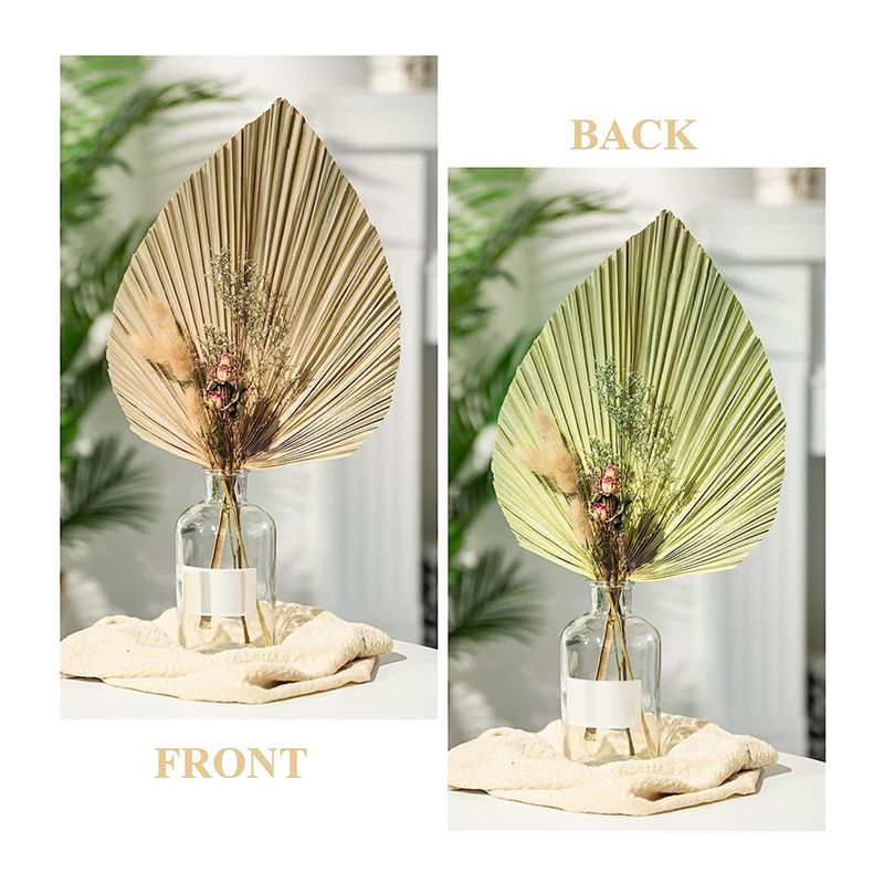 A27F-6Pcs Natural Tropical Dri - огляд і ціна Palm Leaf Dried