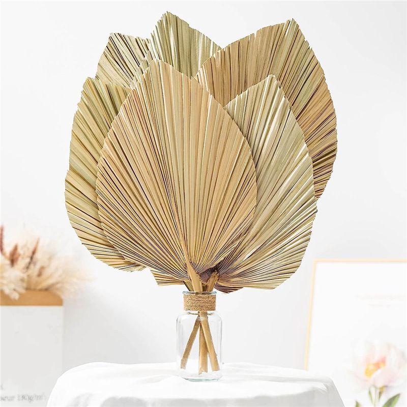 A27F-6Pcs Natural Tropical Dri - огляд і ціна Palm Leaf Dried