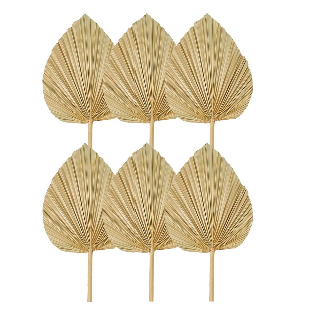Good 6PCS Dried Palm Leaves Na - огляд і ціна Palm Leaf Dried