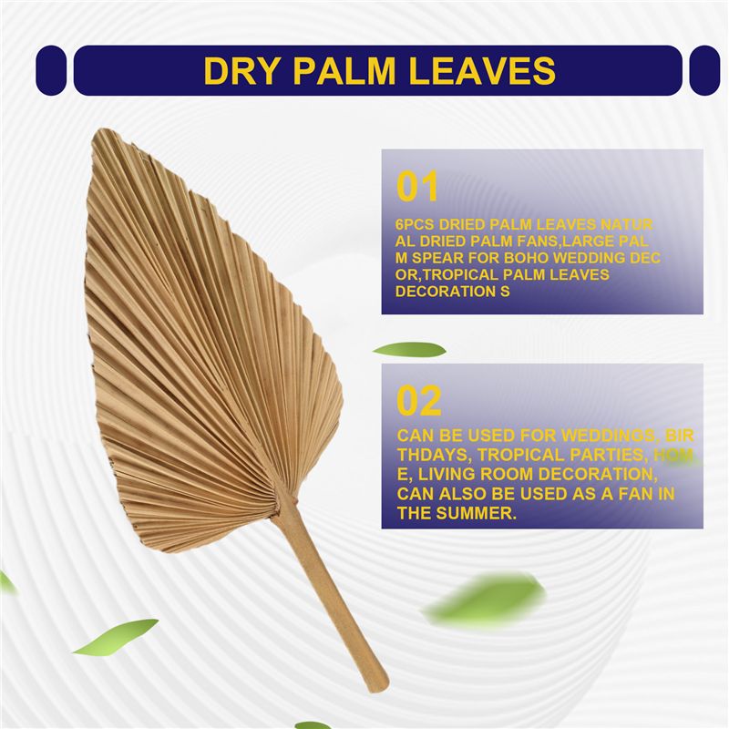 ABKO-6PCS Dried Palm Leaves Na - огляд і ціна Palm Leaf Dried