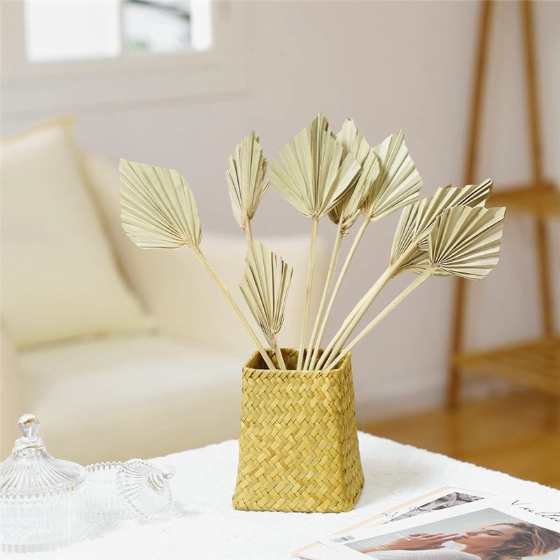 HLZS-Boho Dried Palm Spears Sm - огляд і ціна Palm Leaf Dried